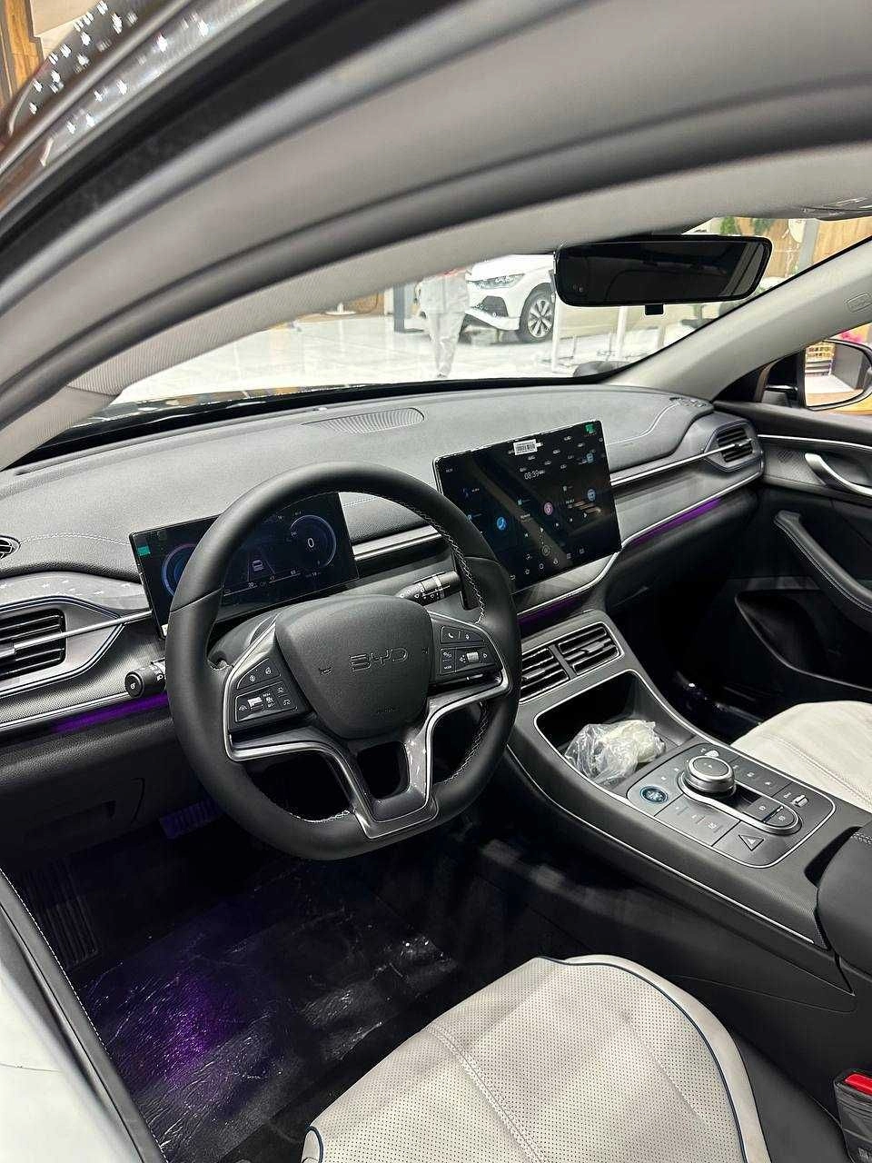 BYD Chazor