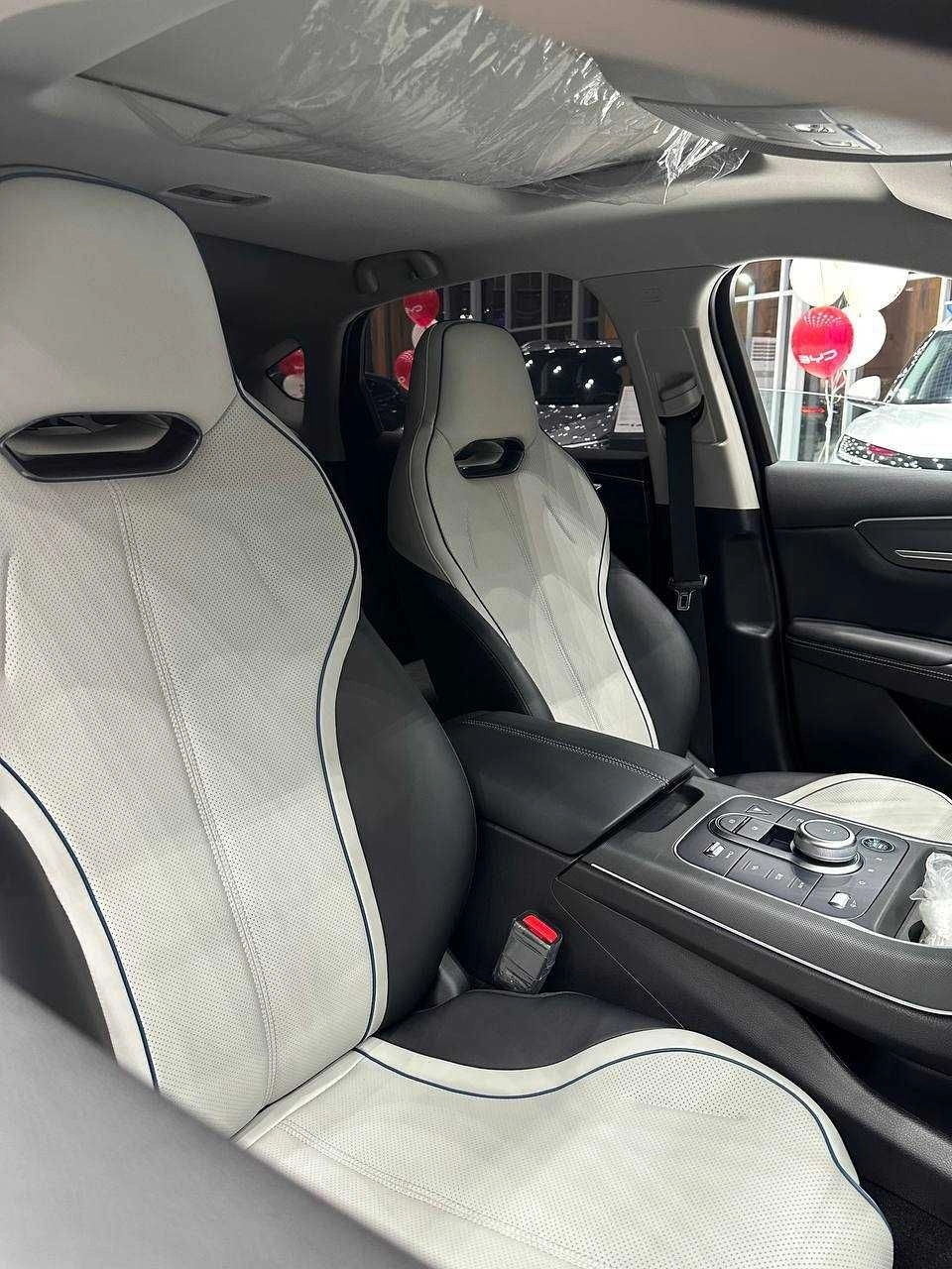 BYD Chazor
