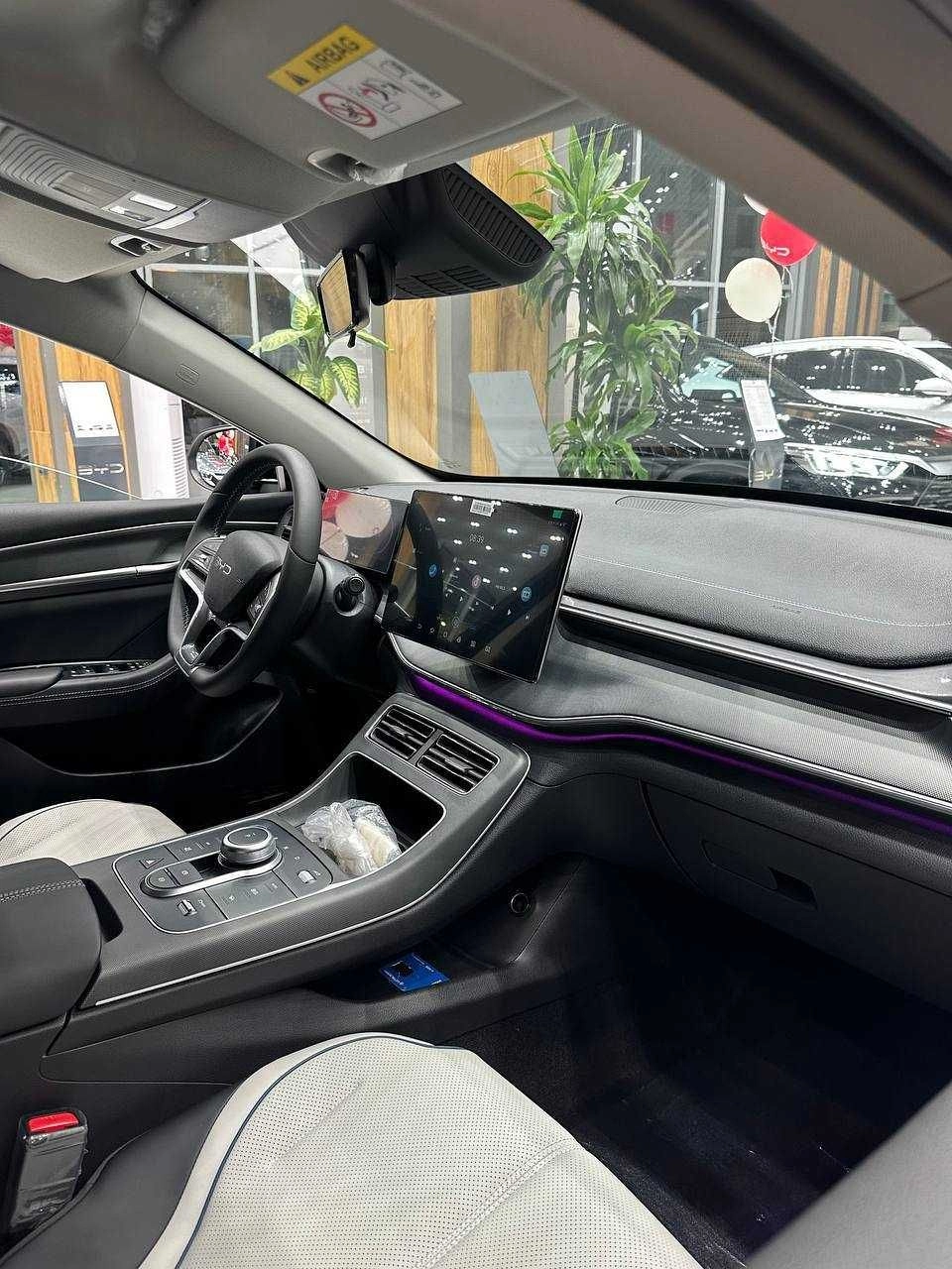BYD Chazor