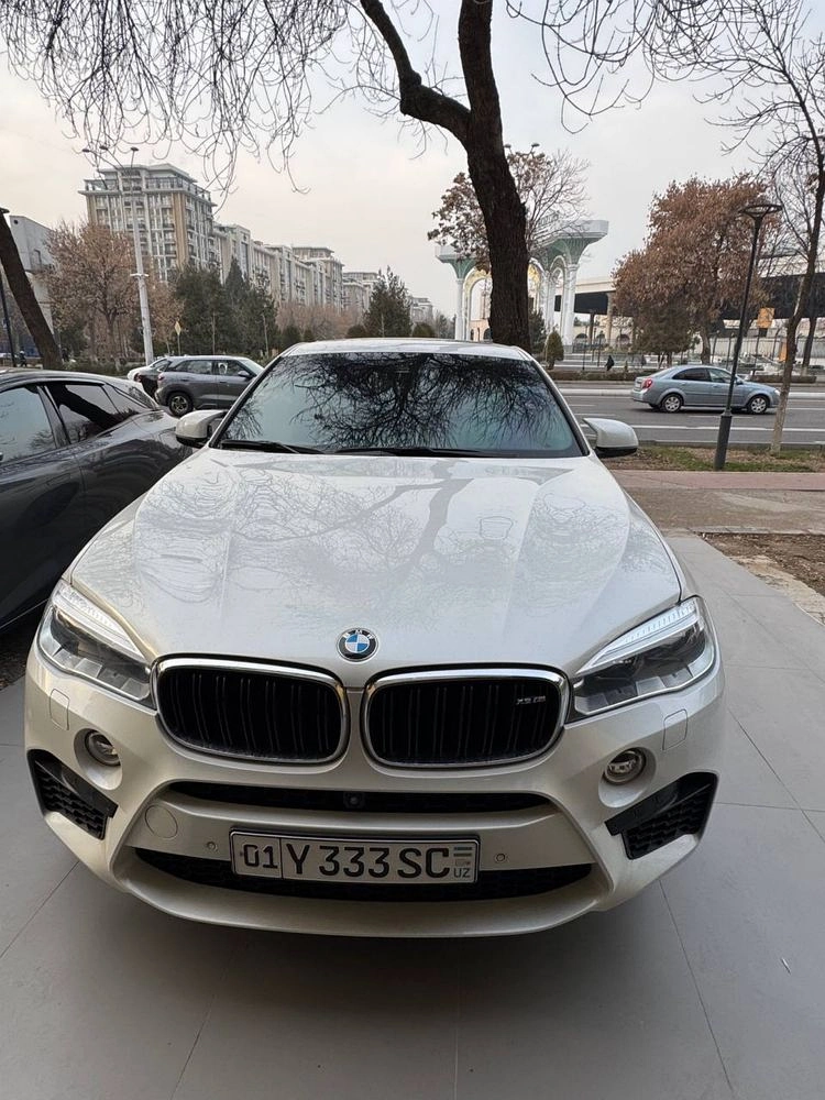 BMW X6 M