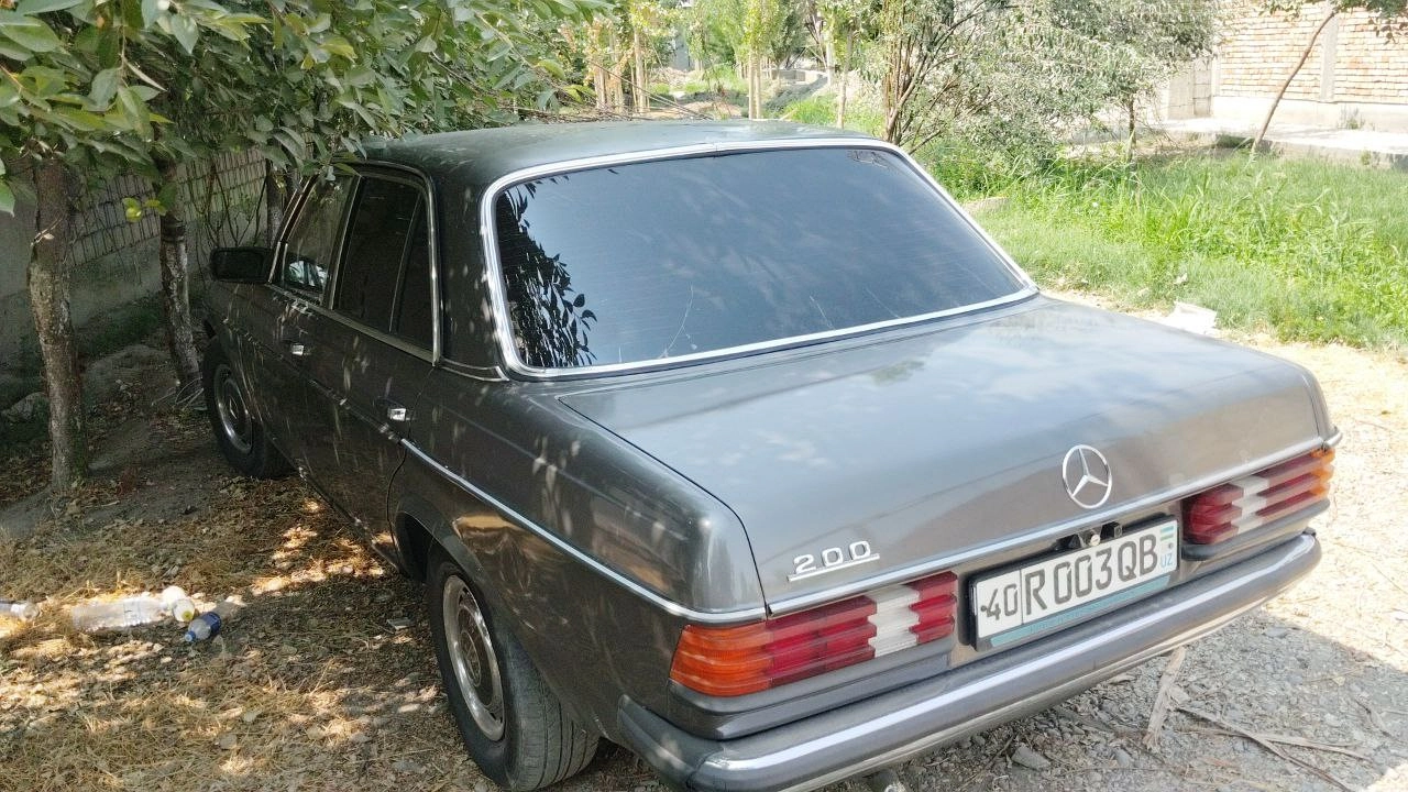 Mercedes-Benz W123