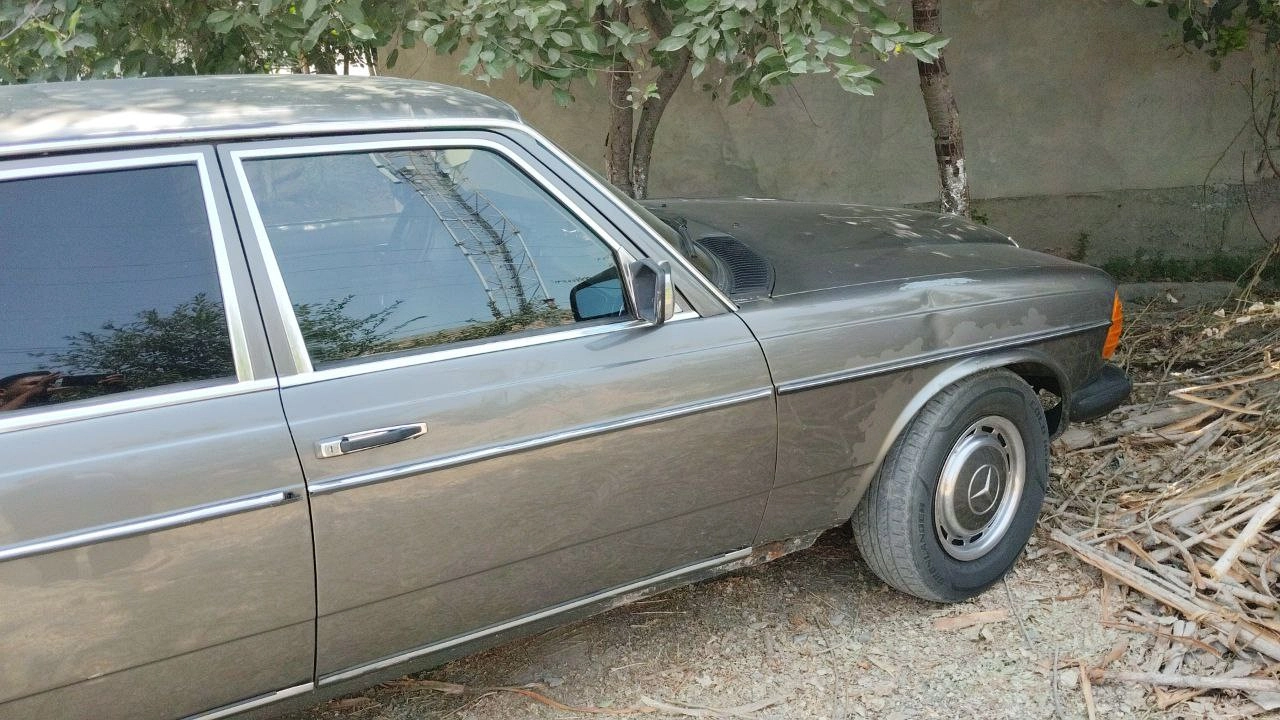 Mercedes-Benz W123