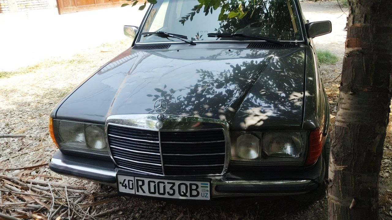 Mercedes-Benz W123