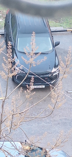 Chevrolet Tracker, 2024, Toshkent shahri
