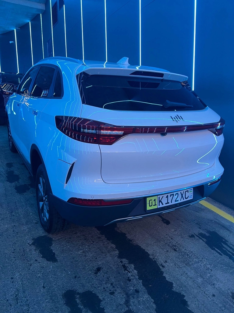 Weltmeister EX5
