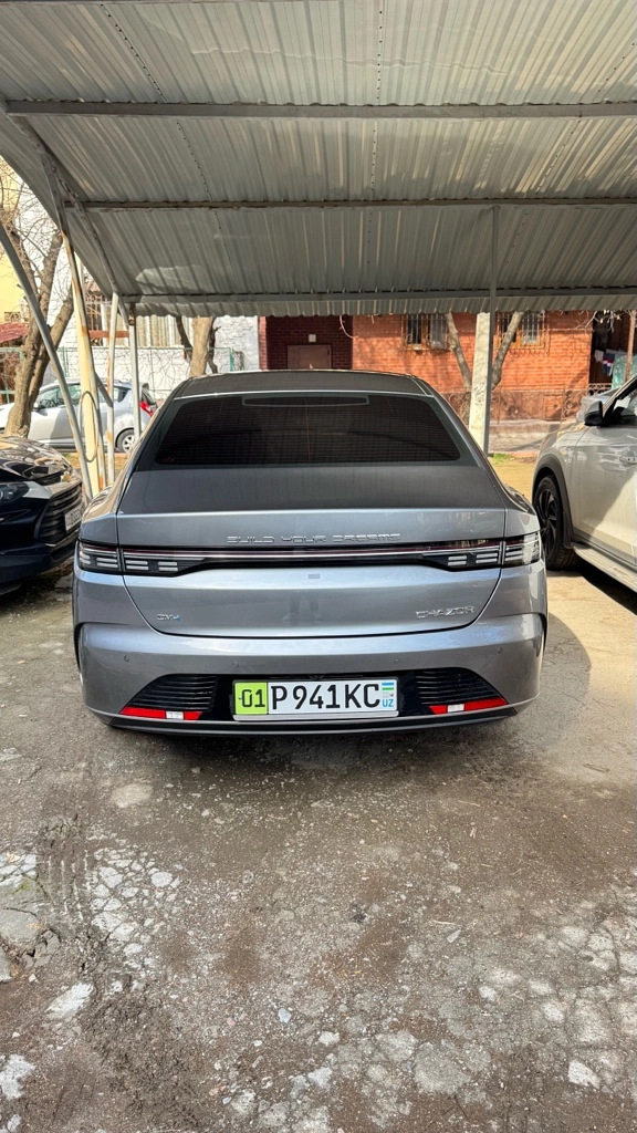 BYD Chazor