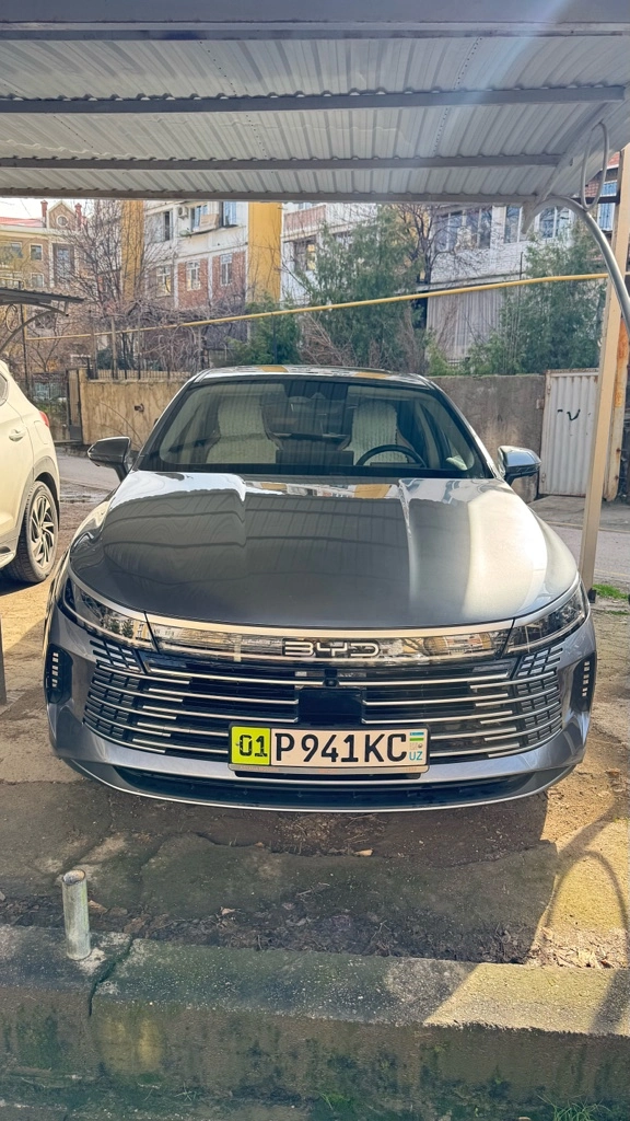 BYD Chazor