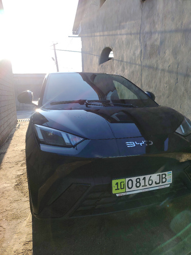 BYD Seagull, 2024, Toshkent shahri