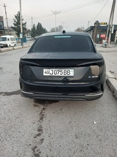 Hongqi E-QM5, 2024, Farg'ona