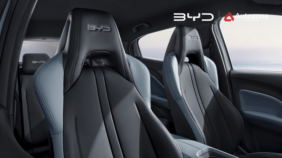BYD Seagull