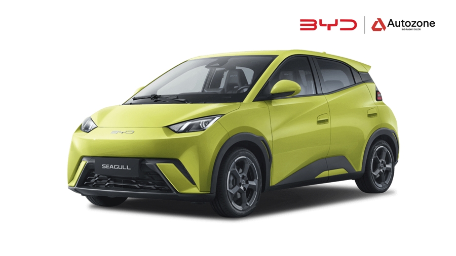 BYD Seagull