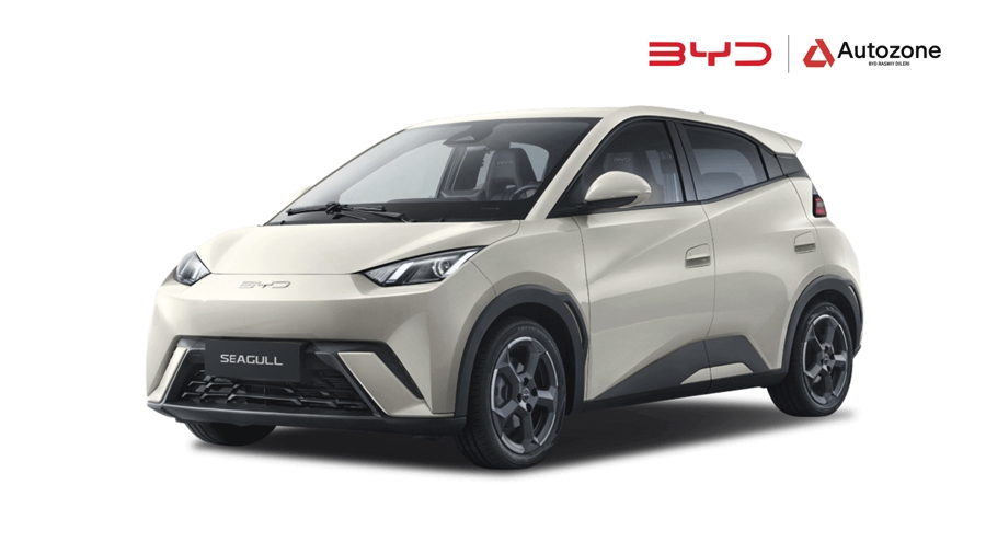 BYD Seagull