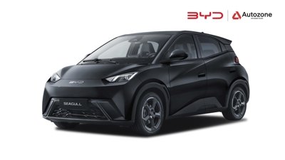 BYD Seagull, 2025, Farg'ona