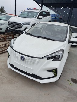 Changan Benben E-Star, 2024, Navoiy
