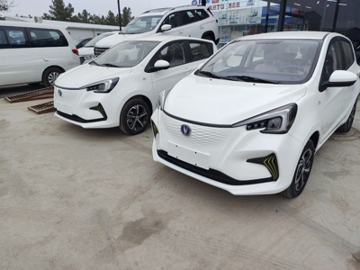 Changan Benben E-Star, 2024, Andijon
