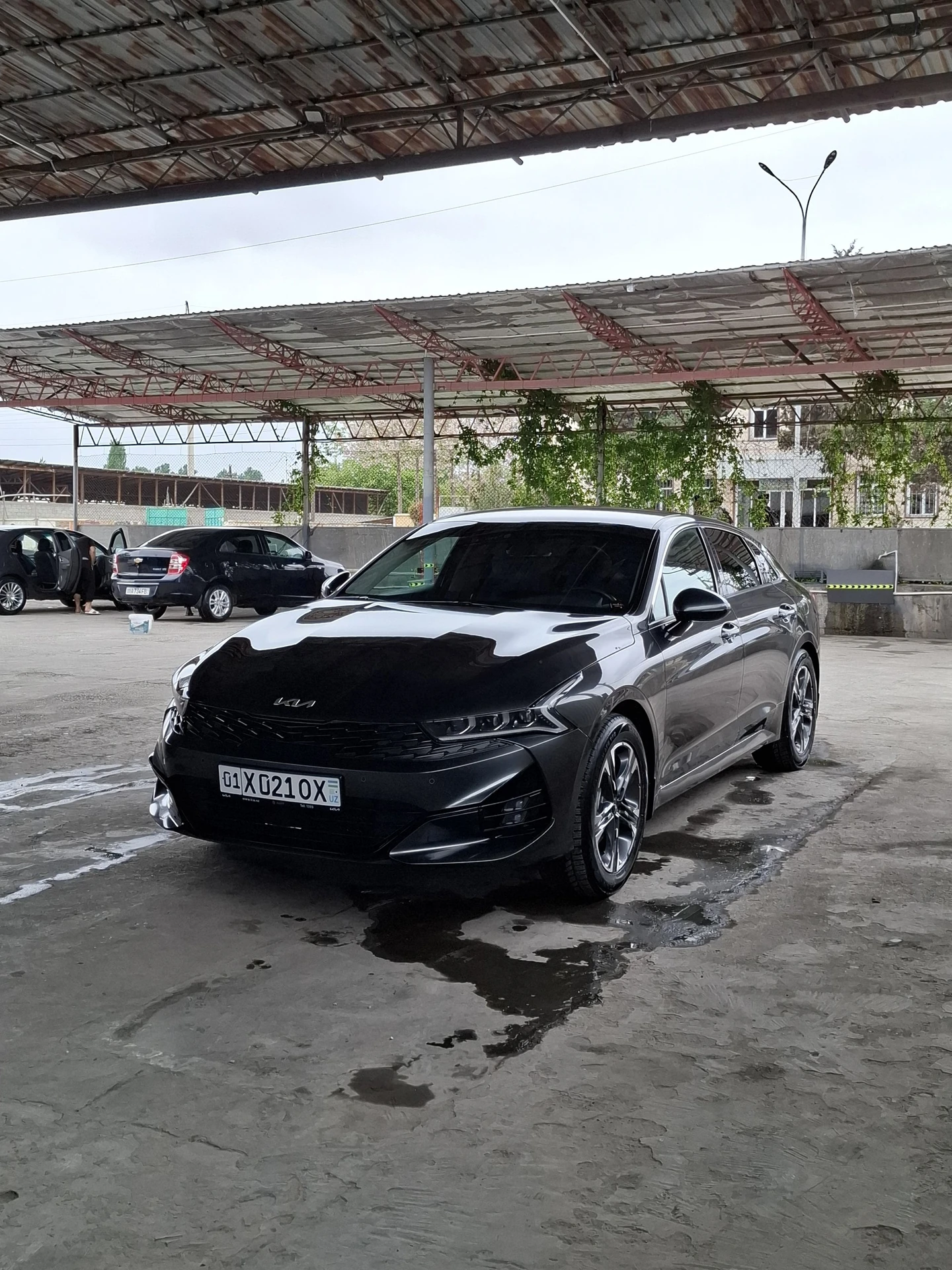 Kia K5