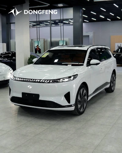 Dongfeng EP 008, 2025, Toshkent shahri