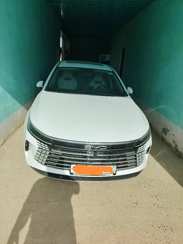 BYD Chazor, 2024, Surxondaryo