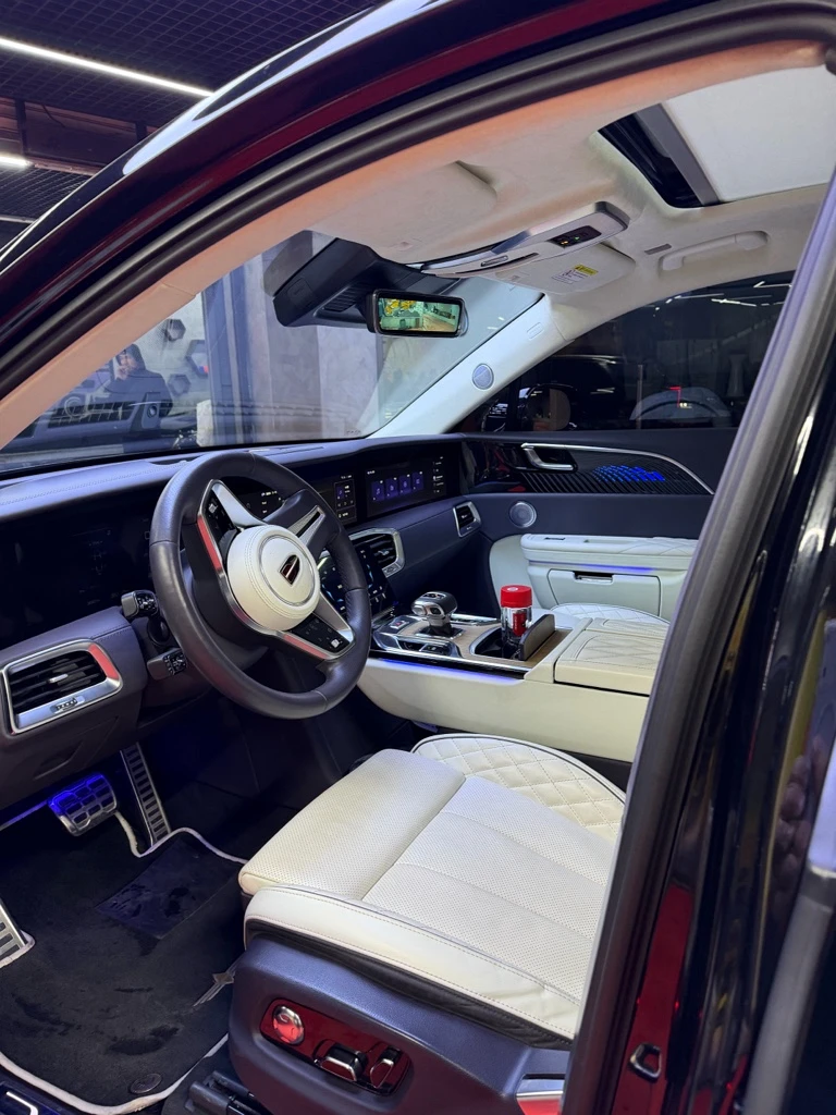 Hongqi E-HS9