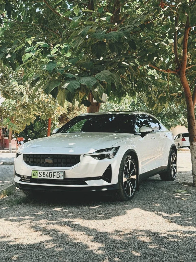 Polestar Polestar 2