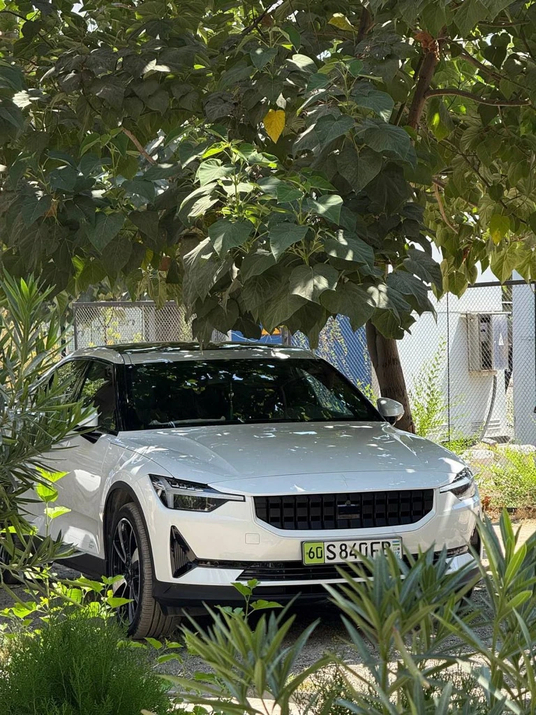 Polestar Polestar 2