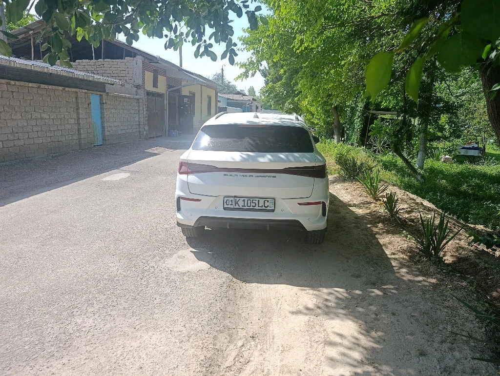 BYD E2