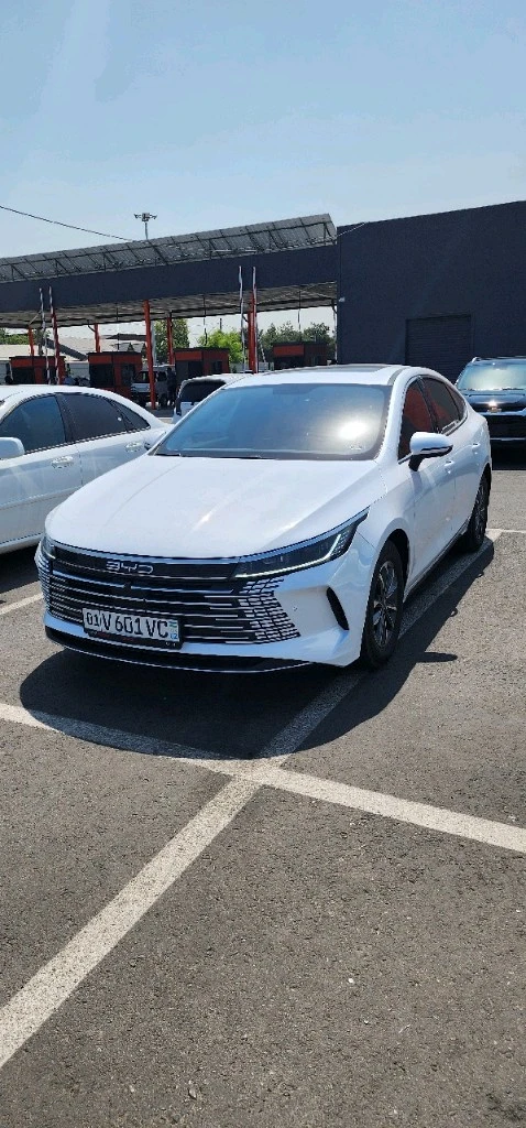 BYD Chazor