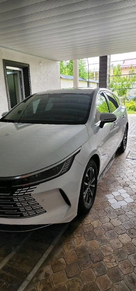 BYD Chazor