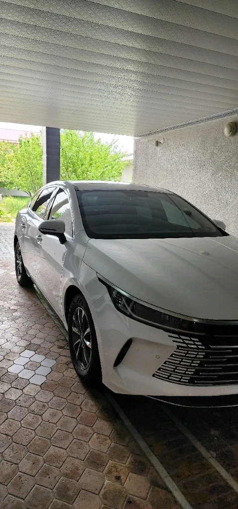 BYD Chazor