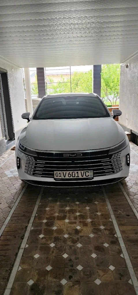 BYD Chazor