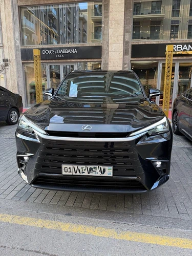 Lexus TX, 2024, Toshkent shahri
