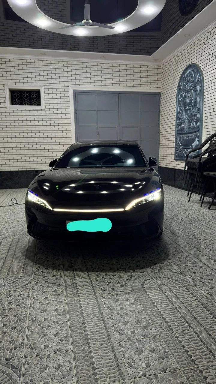 BYD Han L