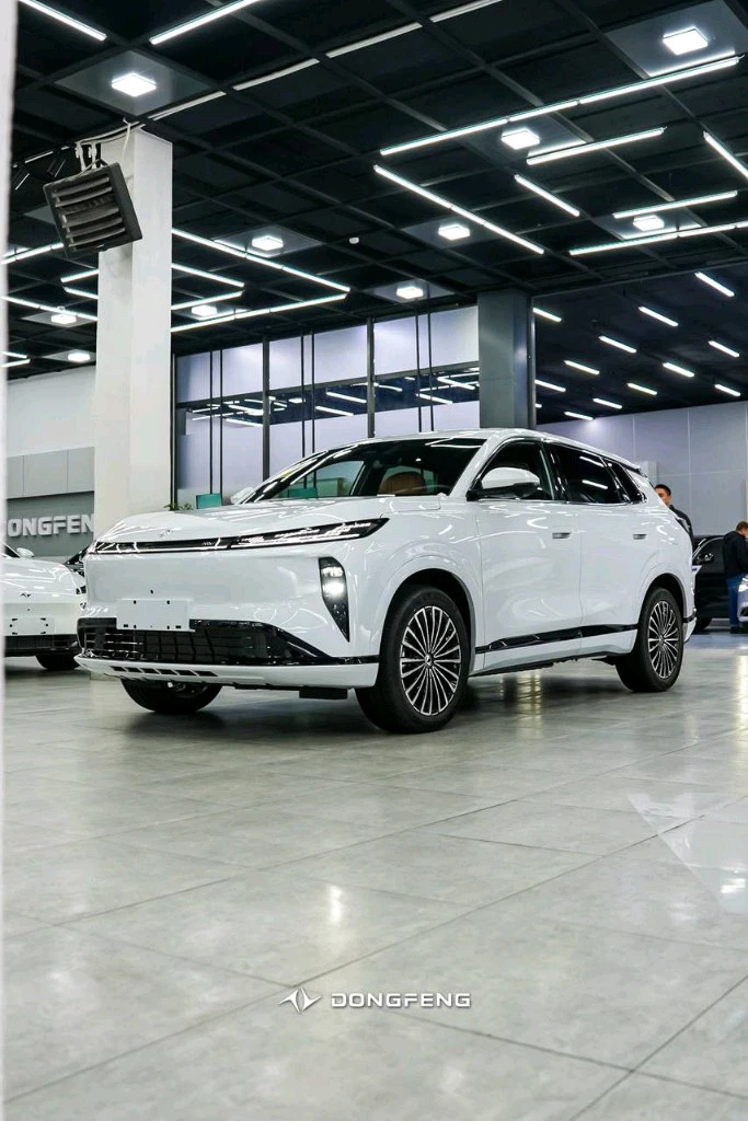 Dongfeng EP 008