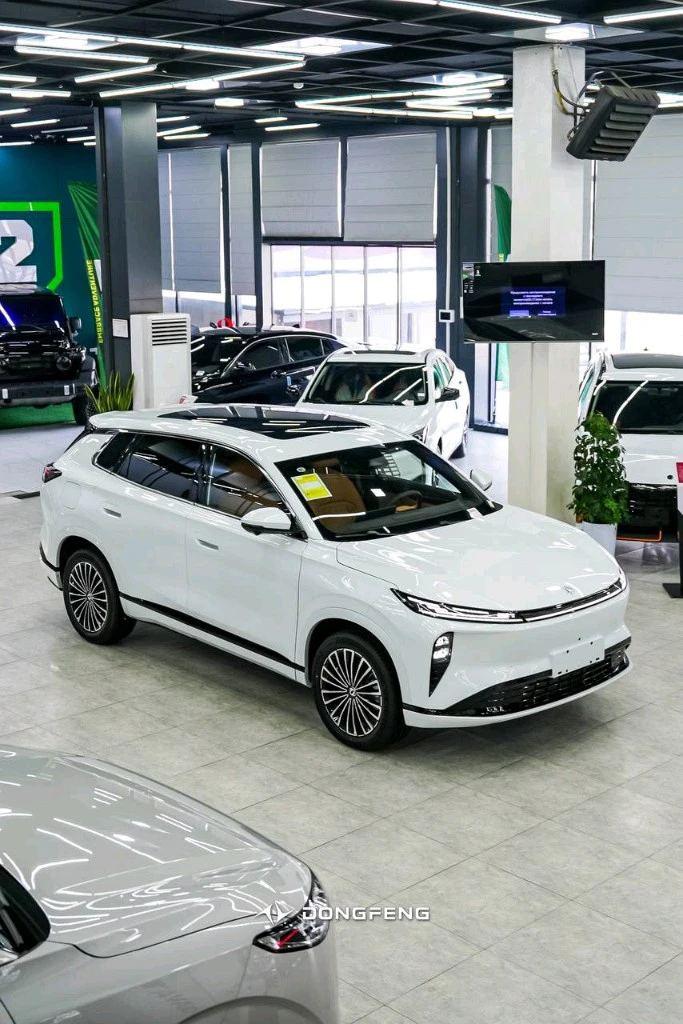 Dongfeng EP 008