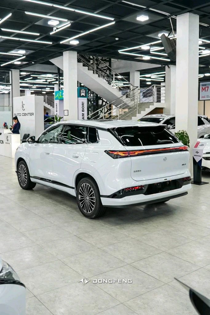 Dongfeng EP 008