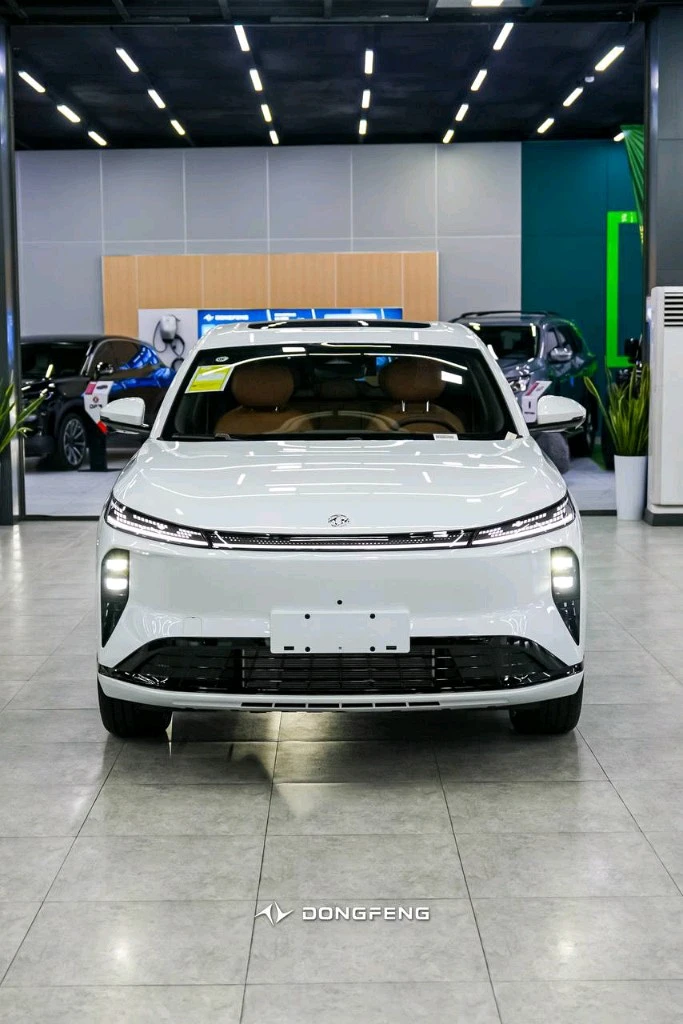 Dongfeng EP 008