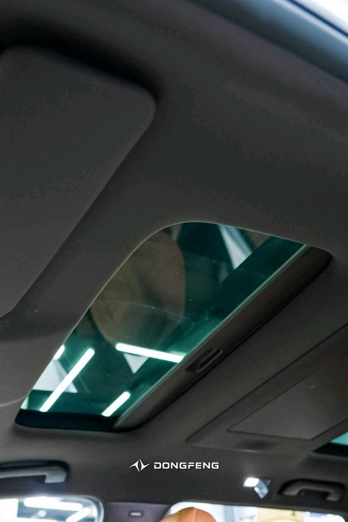 Dongfeng EP 008