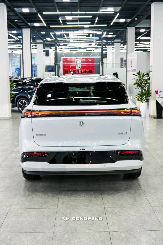Dongfeng EP 008