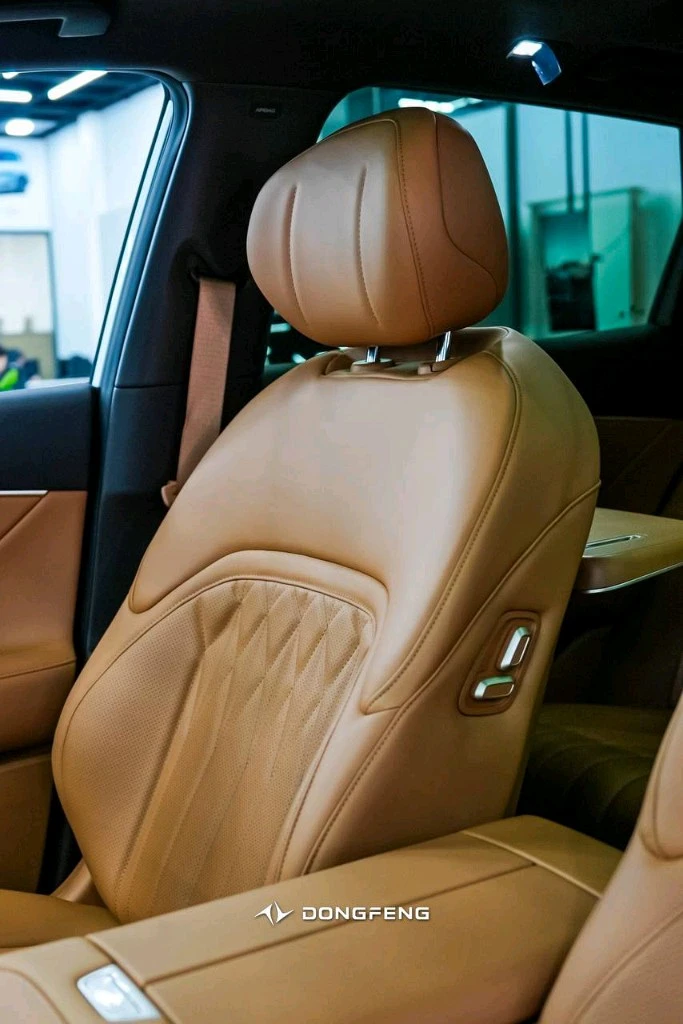 Dongfeng EP 008
