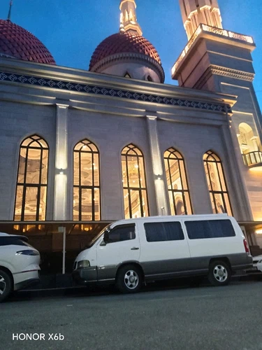 SsangYong Istana