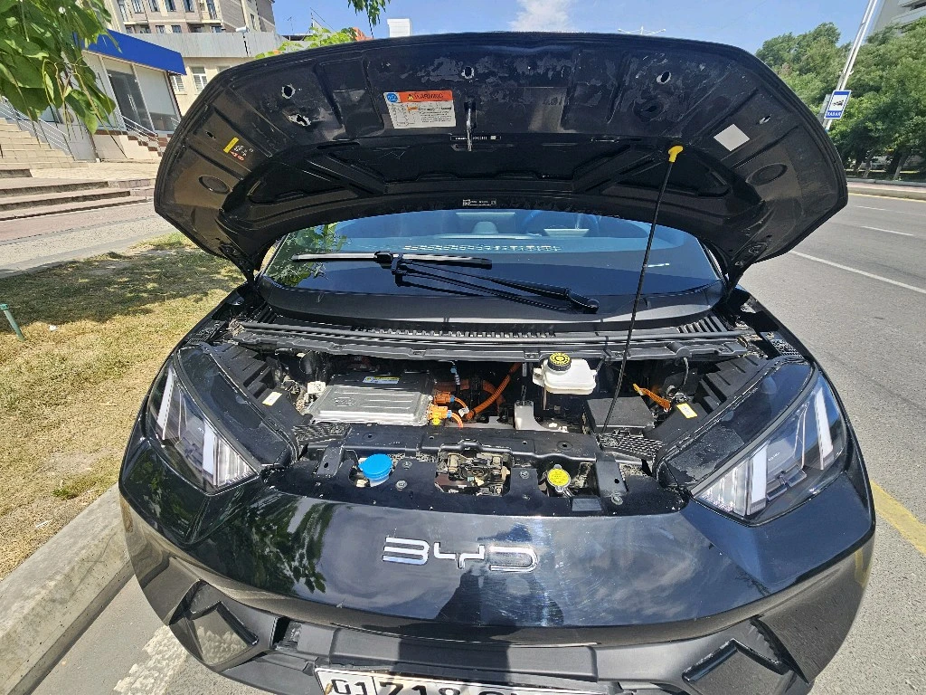BYD Seagull