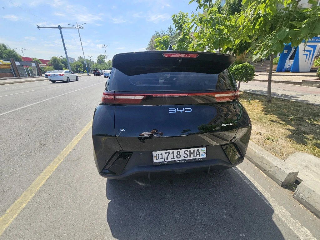 BYD Seagull