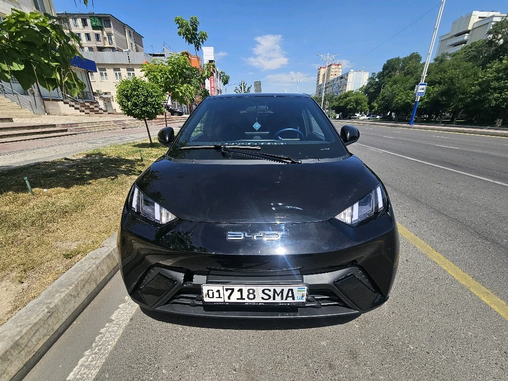 BYD Seagull