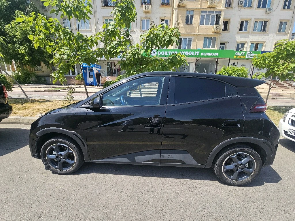 BYD Seagull