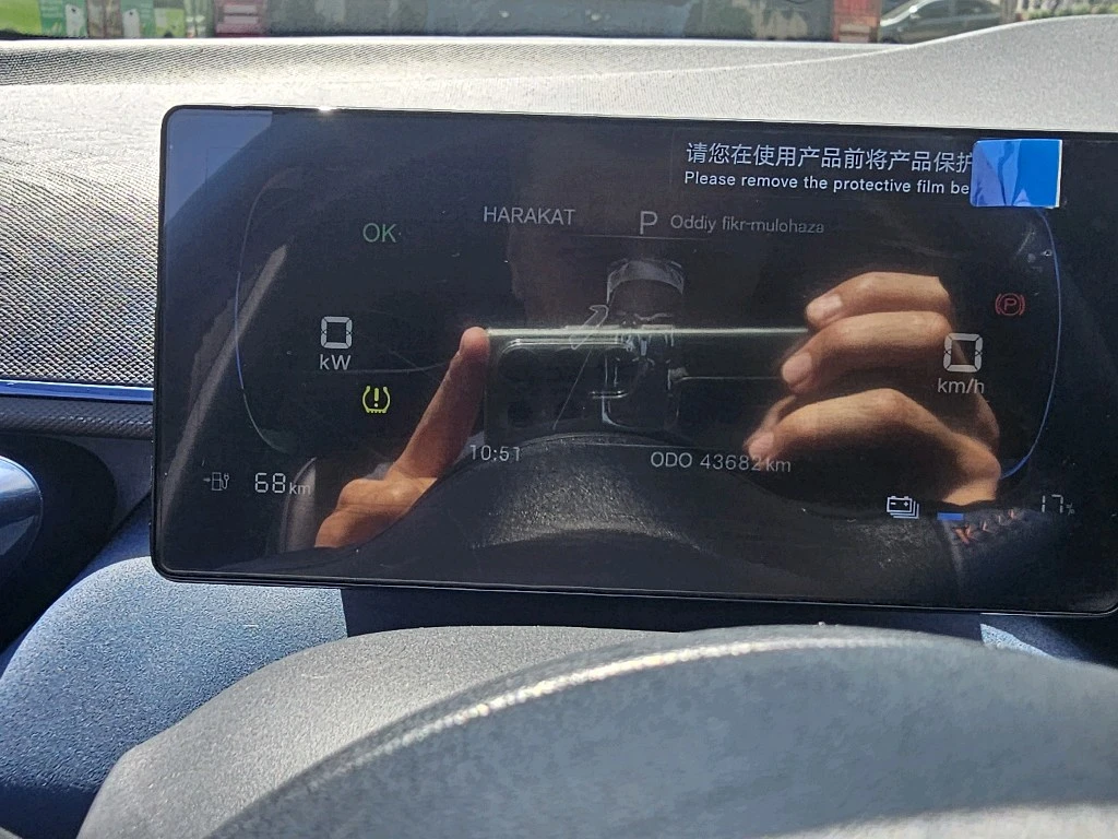 BYD Seagull