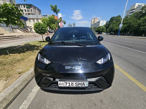 BYD Seagull, 2024, Toshkent shahri