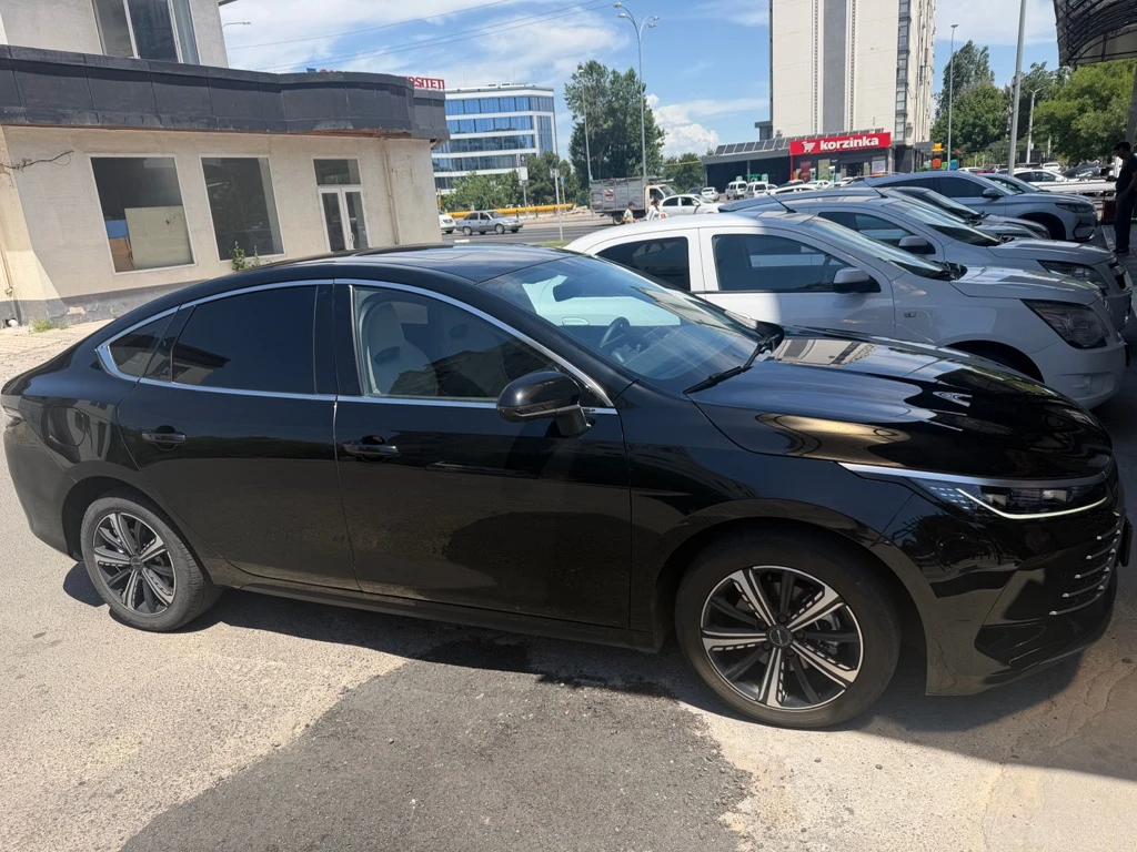 BYD Chazor