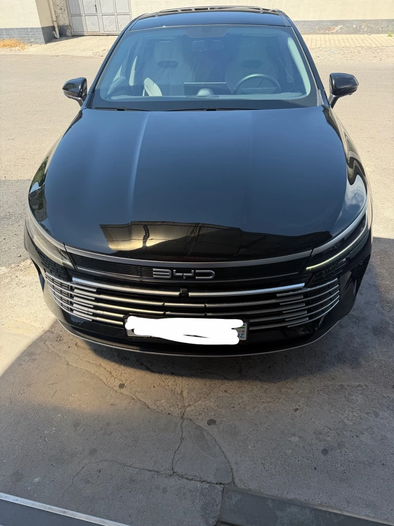 BYD Chazor