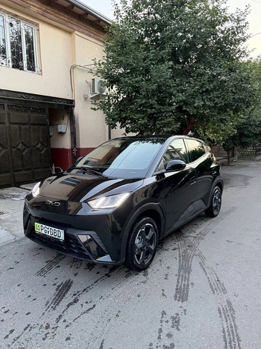 BYD Seagull, 2025, Toshkent