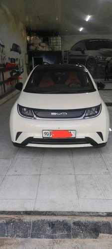 BYD Dolphin, 2023, Xorazm